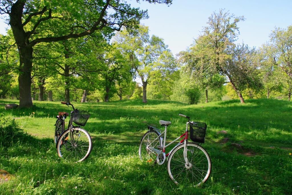 Hotel Dorint Herrenkrug Parkhotel Magdeburgo